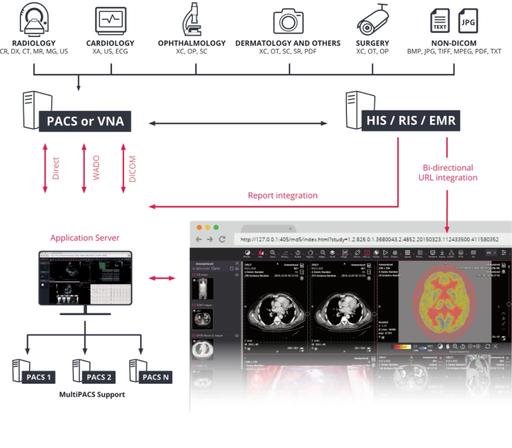 DICOM Viewer – BitBazar